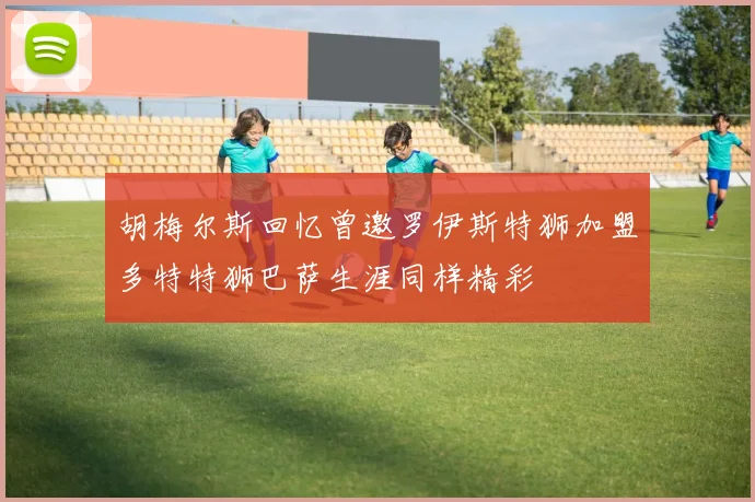 胡梅尔斯回忆曾邀罗伊斯特狮加盟多特特狮巴萨生涯同样精彩
