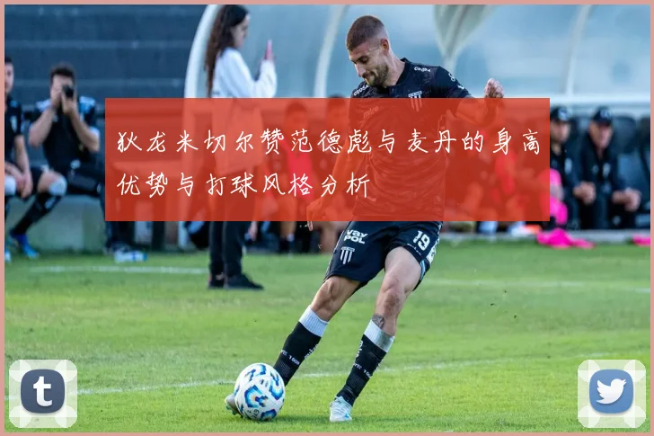狄龙米切尔赞范德彪与麦丹的身高优势与打球风格分析